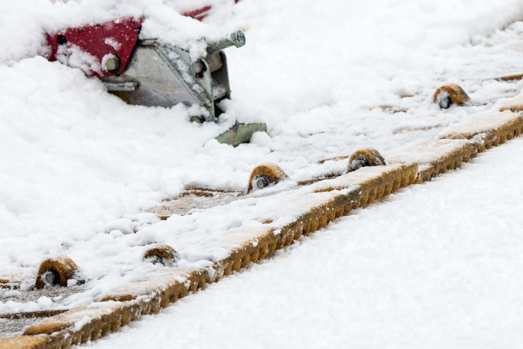 Grooming Snow King